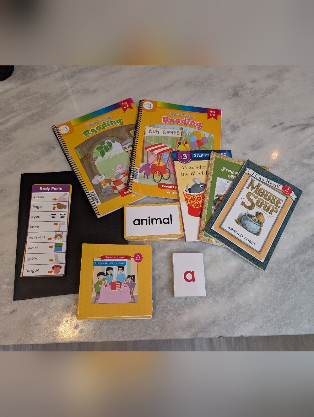 Moving Beyind the Page Second Grade Reading Kit with Parent Maunals